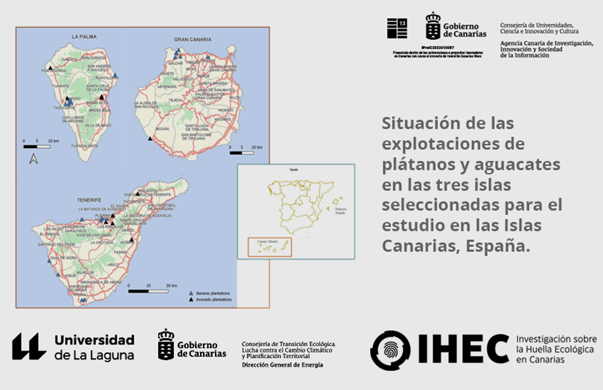 En la imagen se muestran las ubicaciones de las diversas plantaciones de aguacate y plátano en las islas de Tenerife, Gran Canaria y La Palma